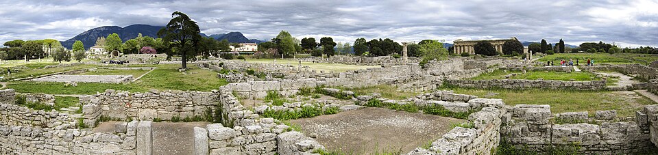 Foro