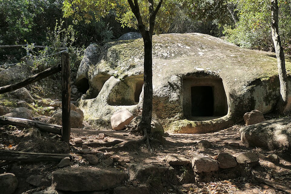 Struttura muraria di Monte Arista