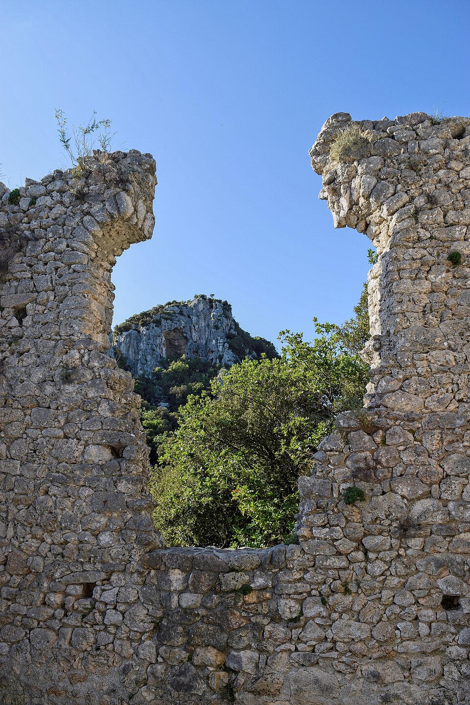 Castrum Perticae