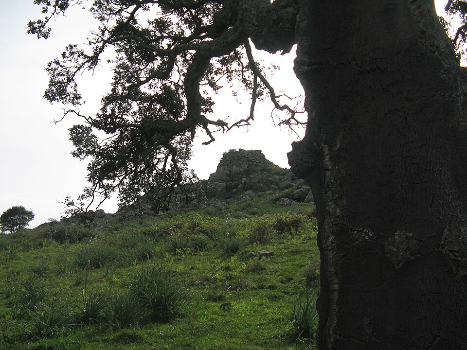 Nuraghe Torru