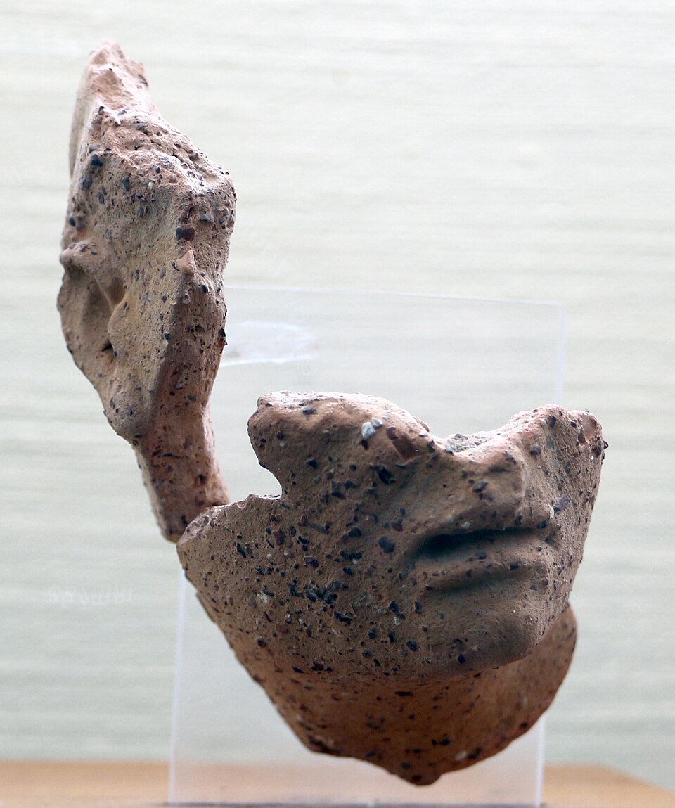 Foro di Cosa
