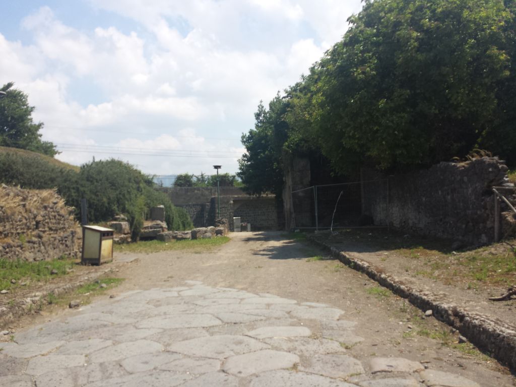 Area didattica sulla viticoltura antica
