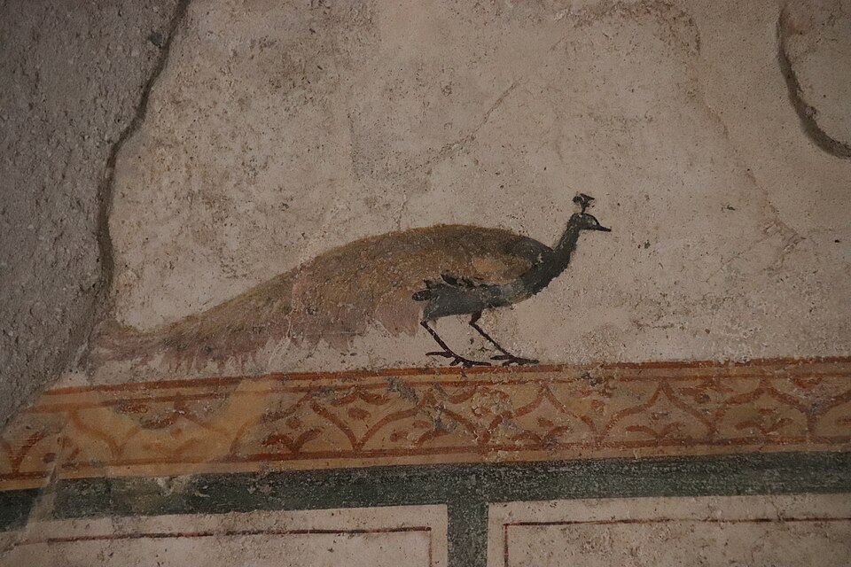 Casa con taberna I.6.9. (Pompeii)