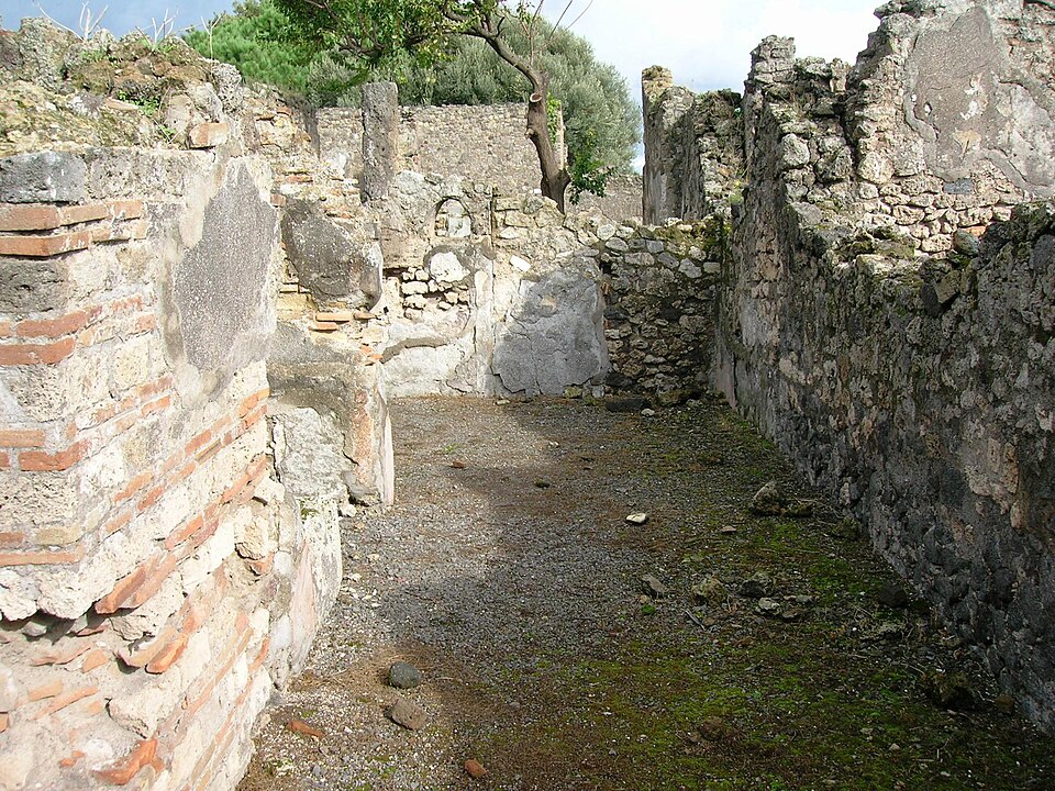 casa di Sex. Decimius Rufus (VIII.3.21)