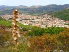Nuraghe Arbus