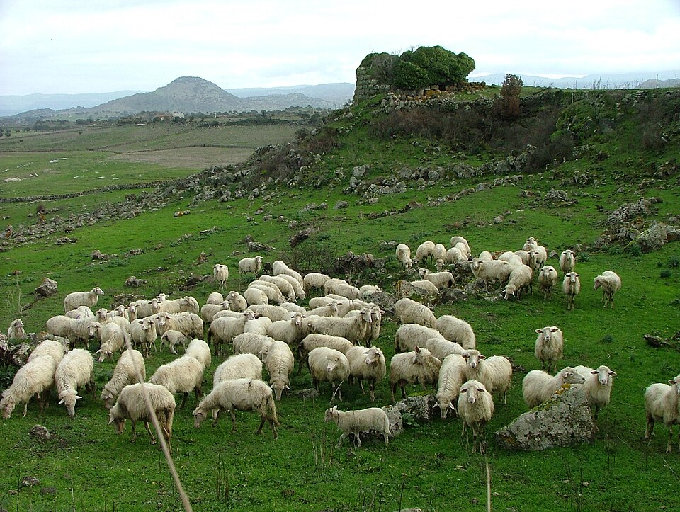 Fraigas Nuraghe