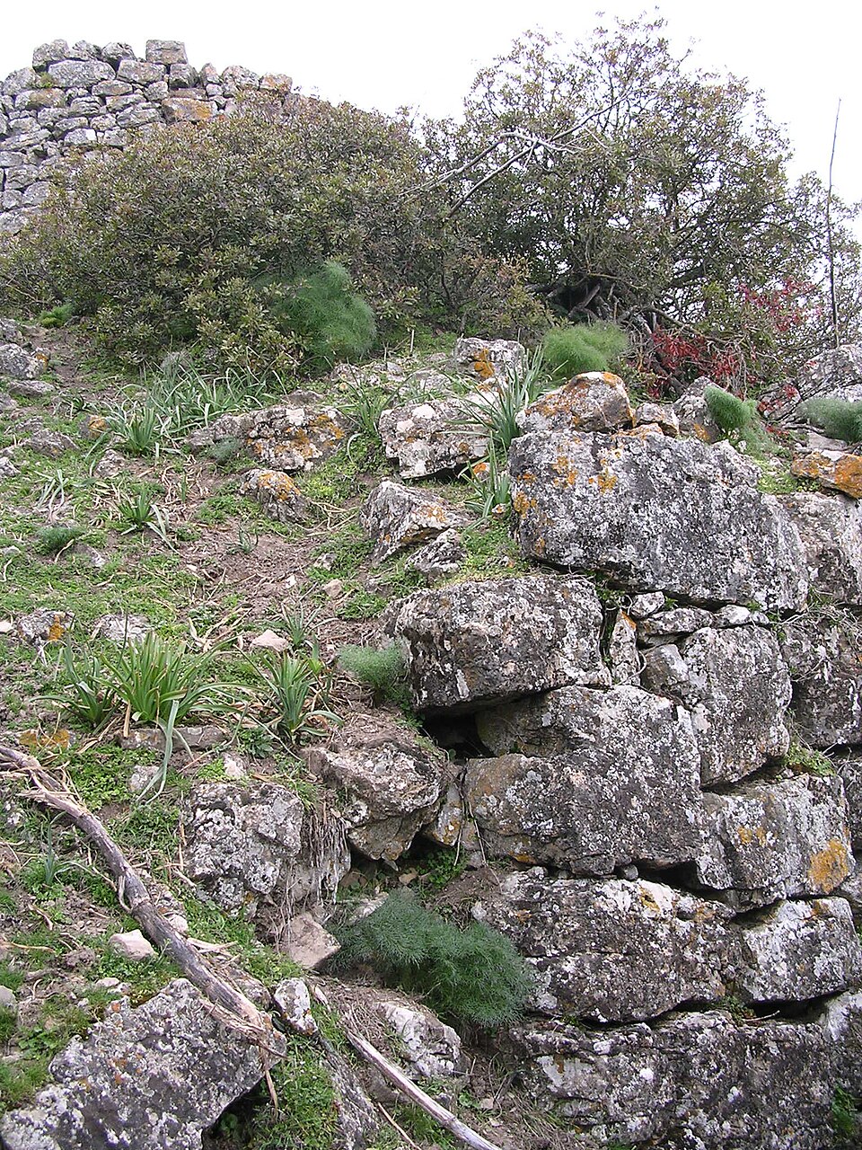 Nuraghe s'Ulimu