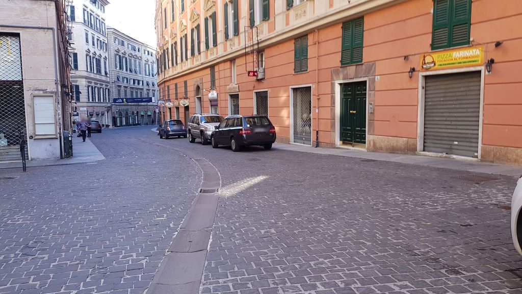 Genoa: Le Strade Nuove and the system of the Palazzi dei Rolli