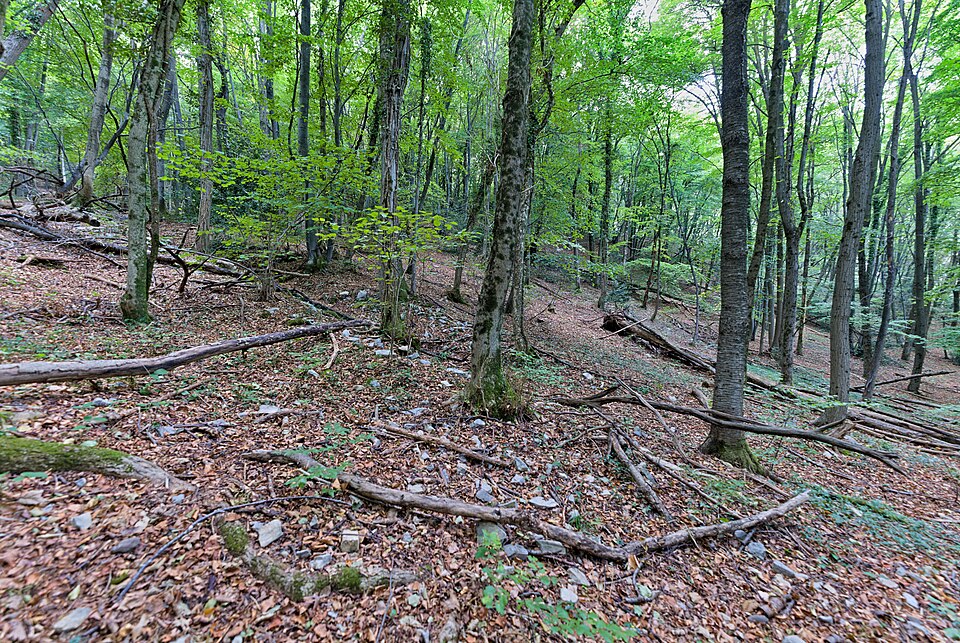 Monte San Giorgio